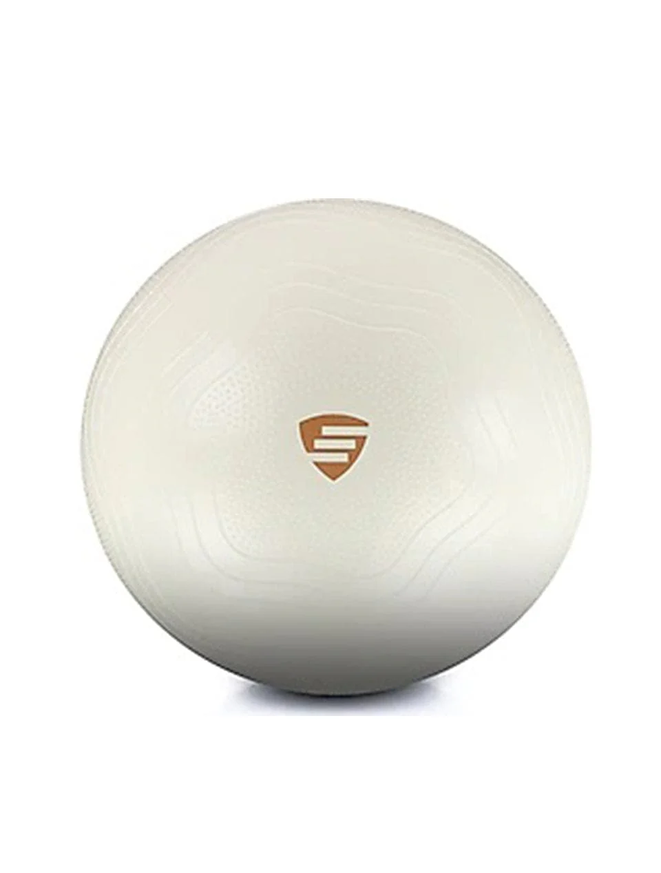 LiveUp Balance Ball 65 CM
