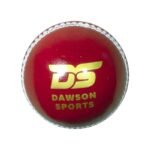 DS Club Leather d Cricket Ball - Senior - Image 3