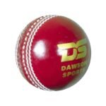 DS Club Leather d Cricket Ball - Senior