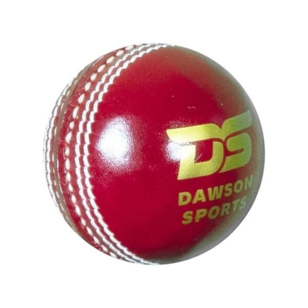 DS Club Leather d Cricket Ball - Senior