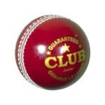 DS Club Leather d Cricket Ball - Senior - Image 2