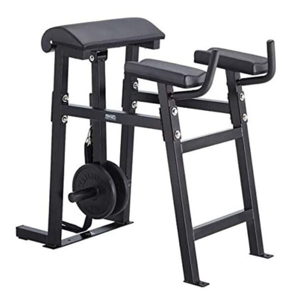 Steelflex, Body Solid Reverse Hyper Bench-Ape Series Rh-1