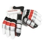 DS Batting Gloves Club - Men
