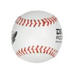 DS Synthetic Trainer Rounders Ball - Image 3