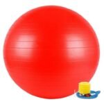 York, Fitness Anti-Burst Gym Ball 65Cm W/Pump, Red