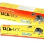 Mouse Glue Traps - 2 Pack
