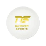 DS Incrediball PVC Cricket Ball