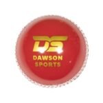 DS Incrediball PVC Cricket Ball - Image 3