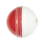 DS Incrediball PVC Cricket Ball - Image 2