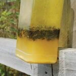Zero In Ultra Power Outdoor Fly Trap - Bait Refill - Image 5