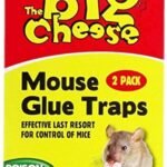 STV182 - Mouse Glue Traps - 2 Pack