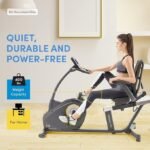 LifeSpan Fitness R5i Self-Generating Light-Commercial Recumbent Bike - Image 5