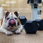 DS HEX Rubber Dumbbells (Pair) | 2.5 Kg to 20 Kg - Image 13