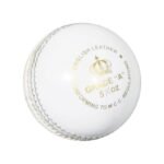 DS Match Leather Cricket Ball - Premium - White - Image 2