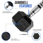 DS HEX Rubber Dumbbells (Pair) | 2.5 Kg to 20 Kg - Image 19