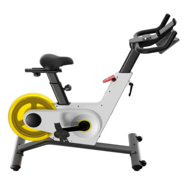 White - Kingsmith Spinning Bike Indoor Bike, PB08S