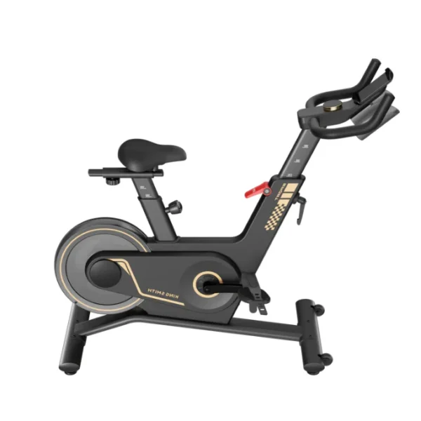 Black - Kingsmith Spinning Bike Indoor Bike, PB08S