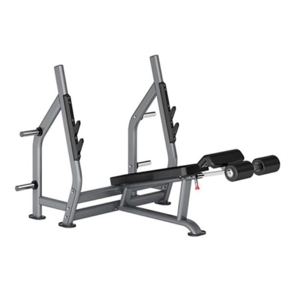 Insight Fitness Decline Olympic Bench DR006B
