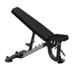 Insight Fitness FID Bench