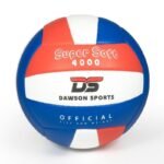 DS 4000 Volleyball - Size 4