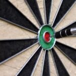 Harley Fitness Bristle Professional Dartboard with 6 Darts - Image 2