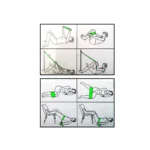 Liveup, Exercise Loop, Ls3650C, Light - Image 4