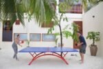 DS Outdoor Table Tennis Table – Heavy Duty, Weather-Resistant - Image 2