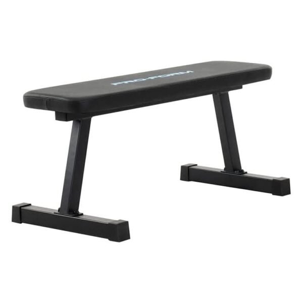 ProForm Flat Bench