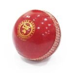 DS Shield Cricket Ball