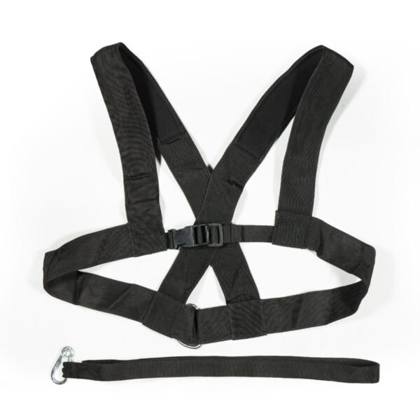 DS Speed Resistor Belt