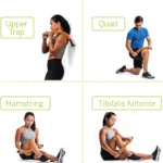 TriggerPoint The Grid' STK Contour Massager, Orange - Image 3