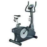 Afton UX100 Home Upright Bike