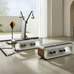 Kingsmith Multifunctional Fitness Bench, FBB1C (Tone Up Workout Station) - Image 3