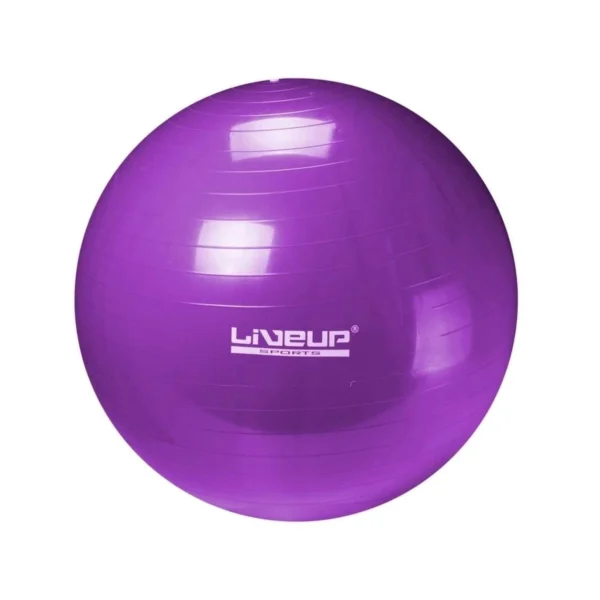 LiveUp Anti Burst Gym Ball | LS3222