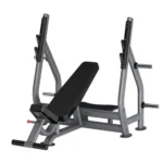 Insight Fitness Incline Olympic Bench - DR005B