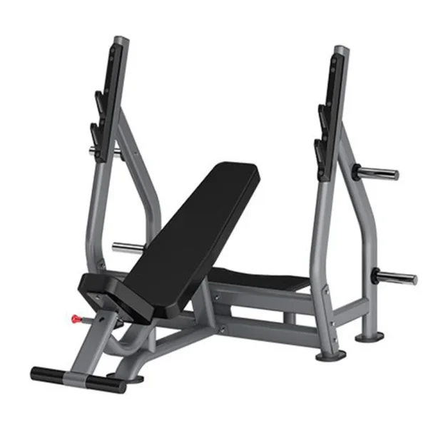 Insight Fitness Incline Olympic Bench - DR005B