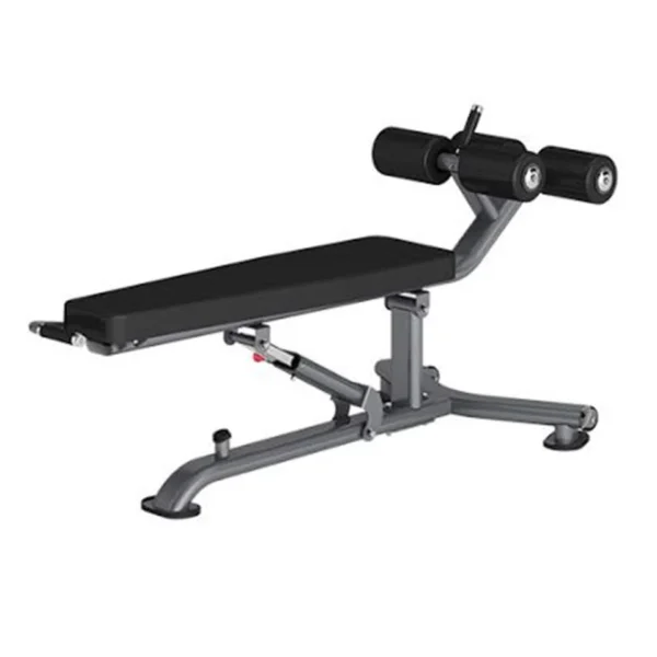 Insight Fitness Decline Adjustable Bench - DR025B