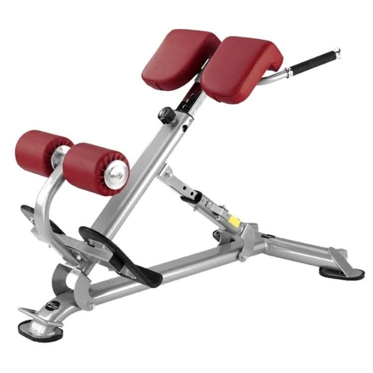 f90d-l805_1_1-0-1-0-1-1-750x750_b7ad6f9f-dbac-4ca4-b608-f780fceb9ad6_1750x.jpg BH Fitness, Back Extension / 40° Incline Bench, L805, Silver - Image 1