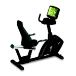 BH Fitness, Recumbent Bike, H775, Silver & Black - Image 2