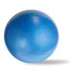 DS Anti Burst Gym Ball
