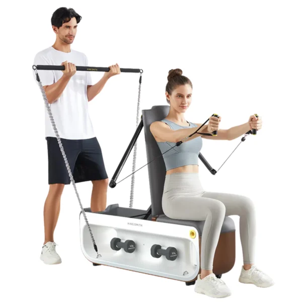 Kingsmith Multifunctional Fitness Bench, FBB1C (Tone Up Workout Station)