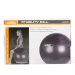 Liveup, Stability Ball With Pump, Ls3579