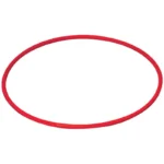 DS Swimming Hoops (Set of 4)